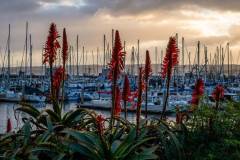 Harbor