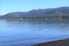IMG_4782147