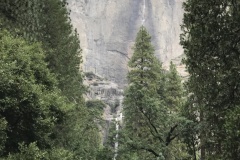 yosemite41